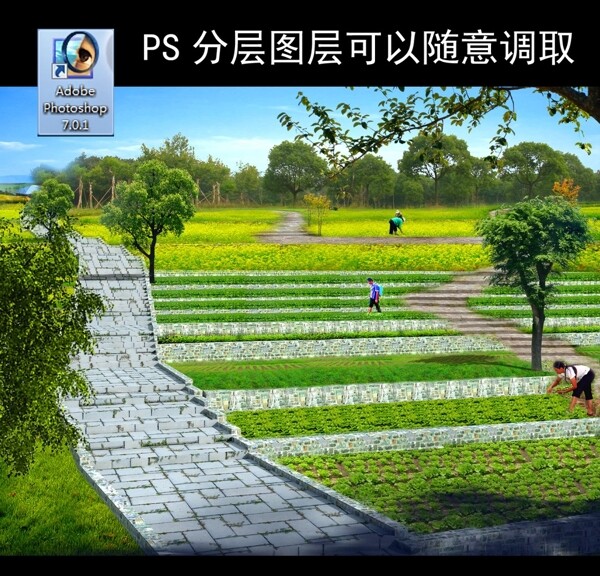 菜地效果圖