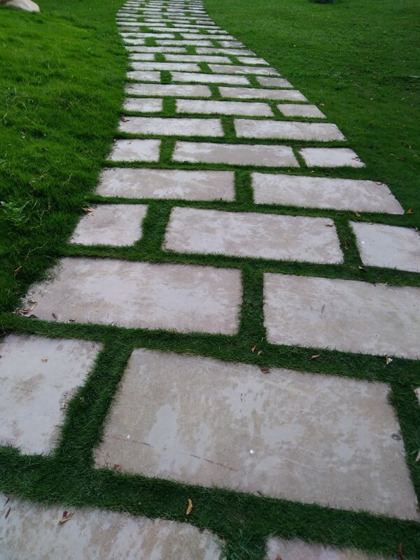 公園的小路
