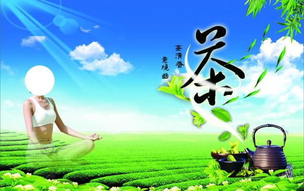 瑜伽茶道圖片