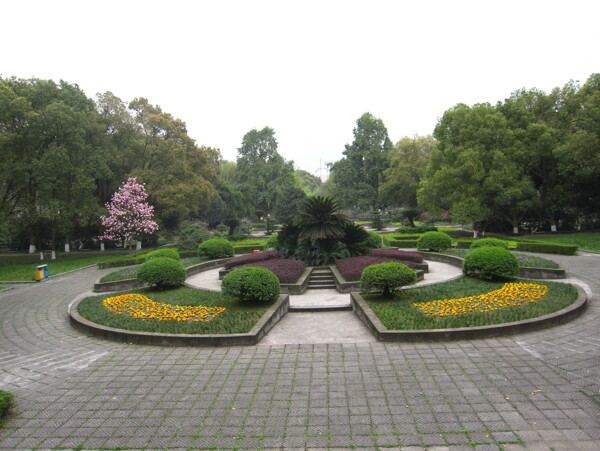 西南大學共青團花園圖片