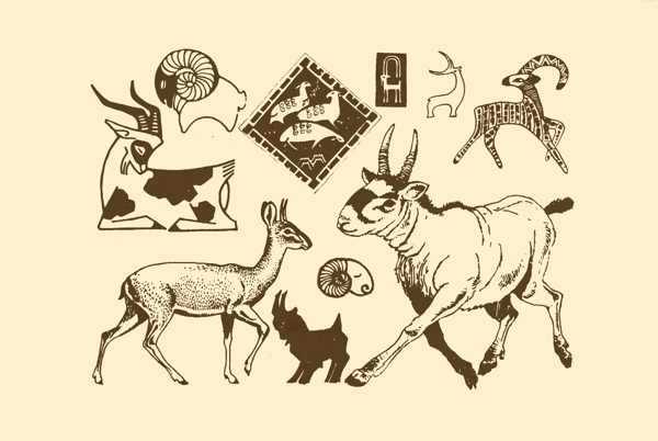動物圖案羊圖片