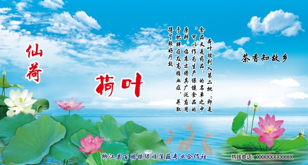 荷葉茶