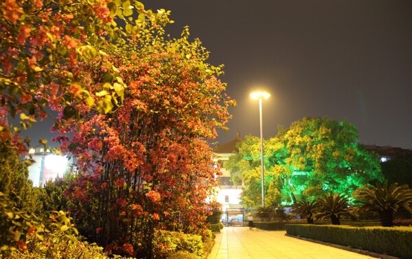 公園夜景圖片