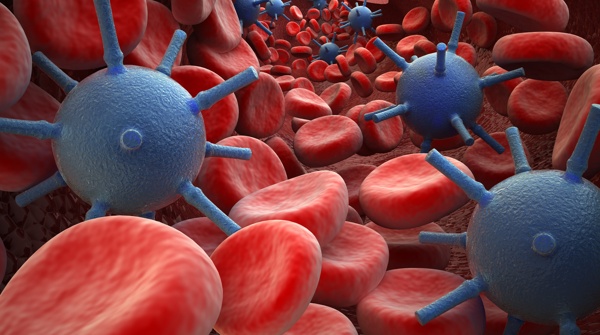 红细胞与病毒图片