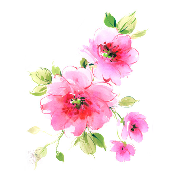 位圖植物寫(xiě)意花卉花朵牡丹免費(fèi)素材