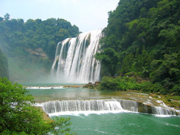 樹植物水風(fēng)景