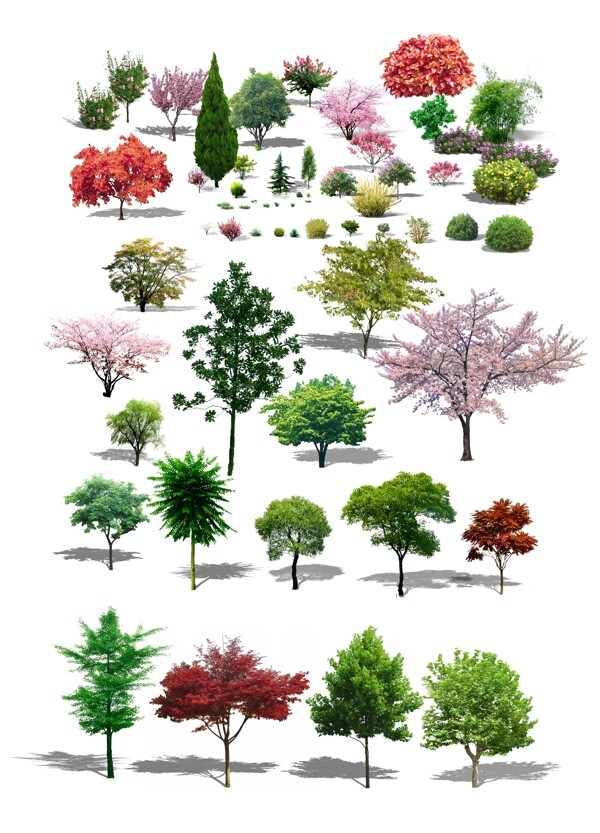 花草