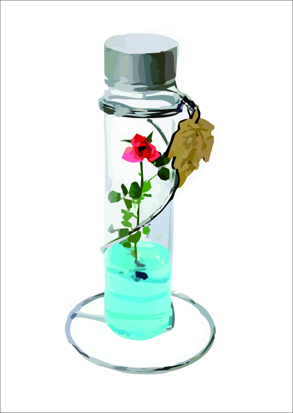 試管花卉