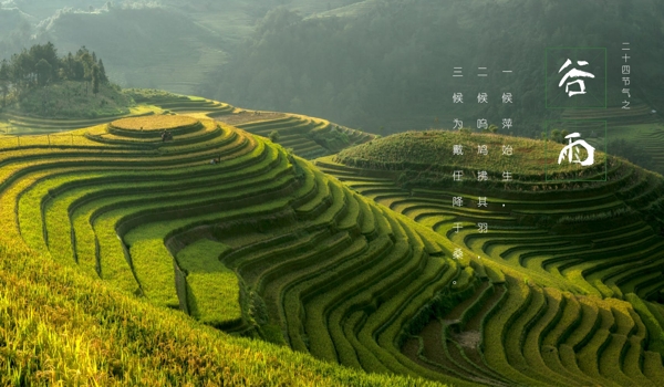 谷雨節(jié)氣