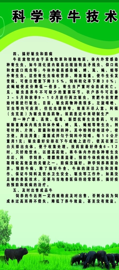 科學(xué)養(yǎng)牛