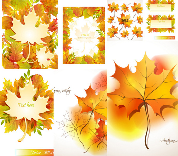 精美秋季枫叶设计矢量素材