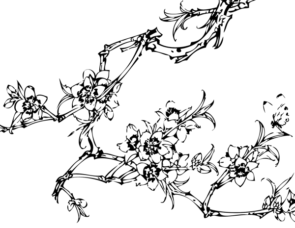 線描白描矢量桃花圖片