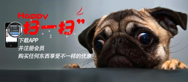 小狗APP圖片