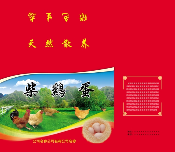 柴雞蛋圖片