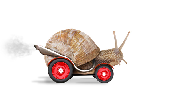 带轮子和发动机的蜗牛图片
