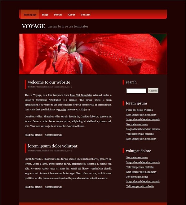 暗红色信息BLOG网页模板