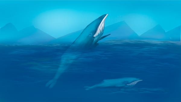 治愈系深海遇鲸
