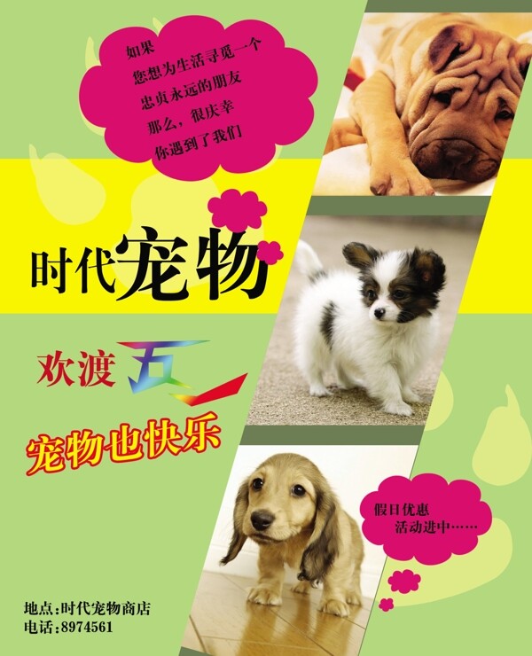 寵物狗美容