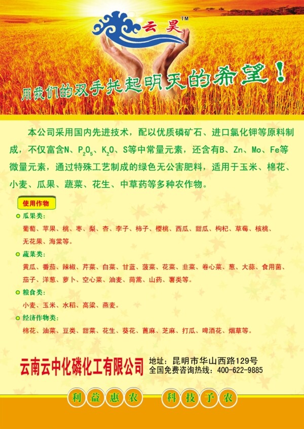 彩页图片