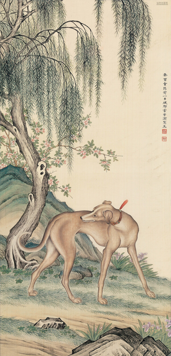 小鹿高樹圖片