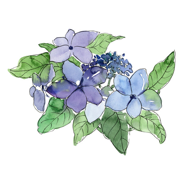 位圖植物寫意花卉花朵野花免費(fèi)素材