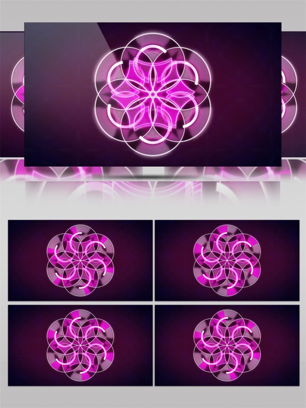 紫色光束花蕊视频素材