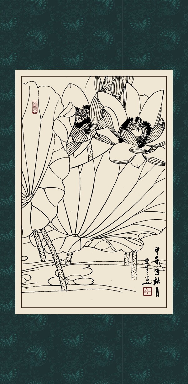 白描荷花圖片