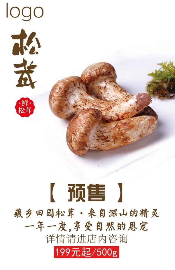 松茸預(yù)售圖片