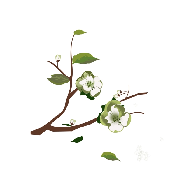 春天元素梨花白色花朵花枝花卉手绘简约风5