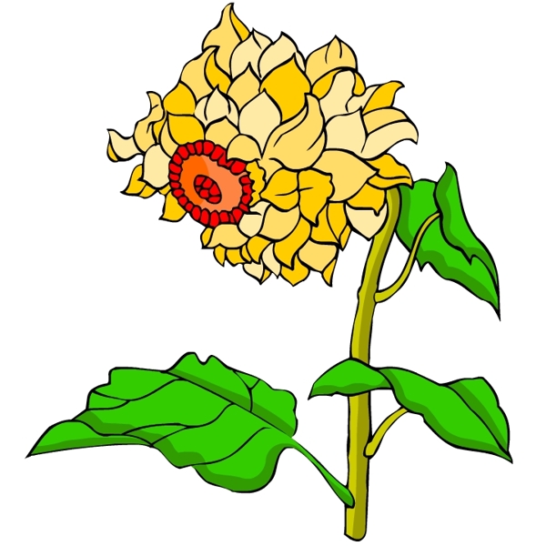 花卉古典插畫
