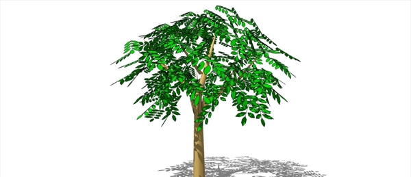 榕树模型