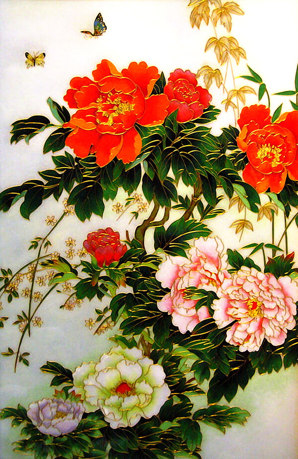 菊花77
