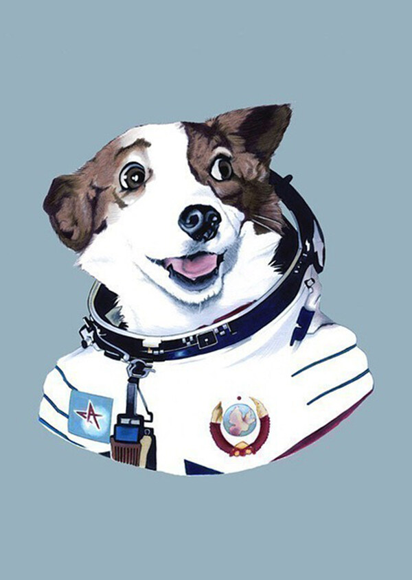 小狗圖片