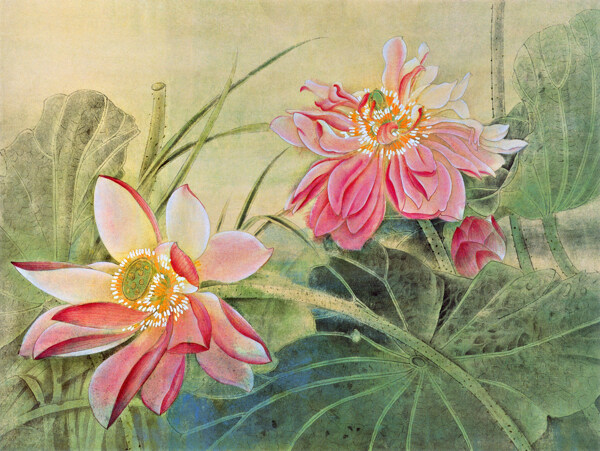 位圖植物圖案寫(xiě)意花卉花朵免費(fèi)素材