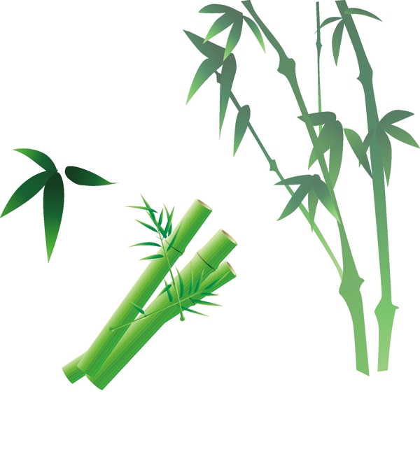 翠绿色竹子竹叶
