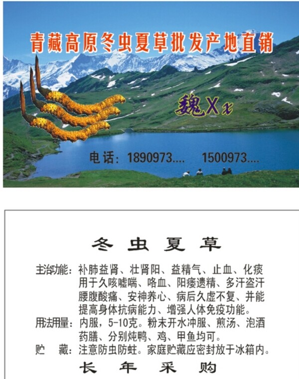 冬蟲夏草名片圖片