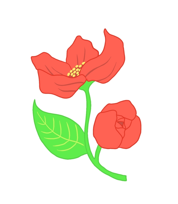 玫瑰花朵卡通插画