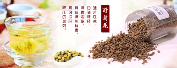 野菊花素材