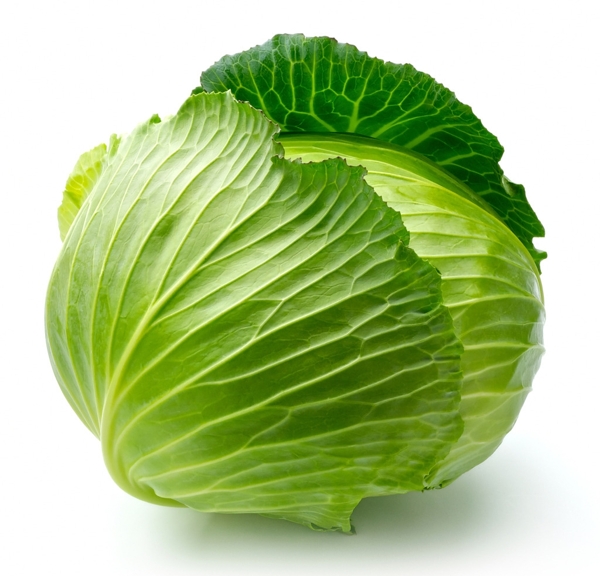 包菜圖片