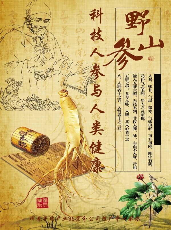 人參單頁(yè)正面