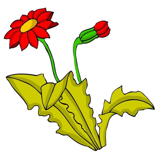 花卉古典插畫(huà)