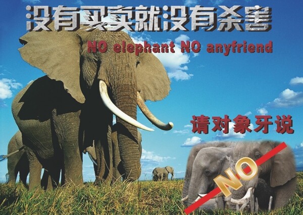 大象