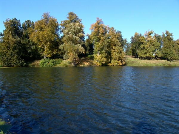 干净的湖水秋天树林风景图片