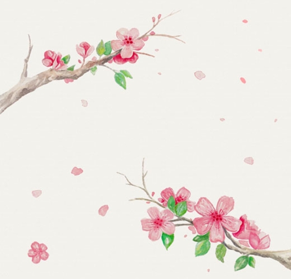 手绘水彩樱花花枝插图