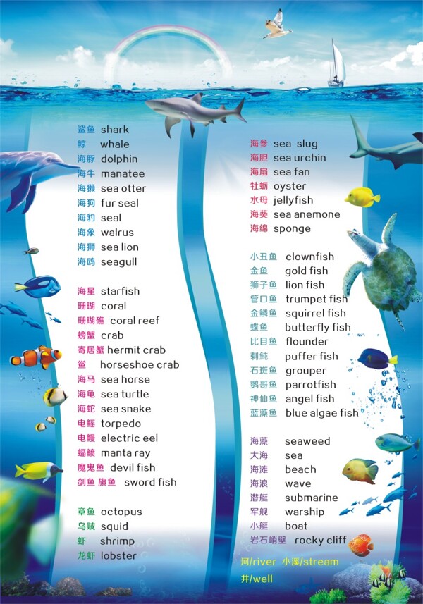 海洋动物英文对照