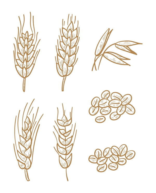 手绘线描燕麦