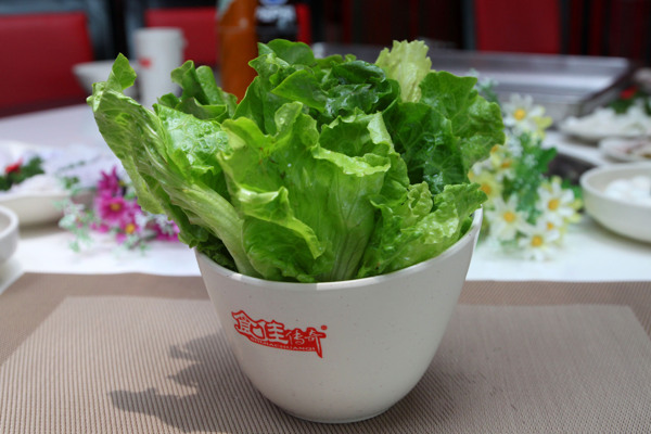 生菜