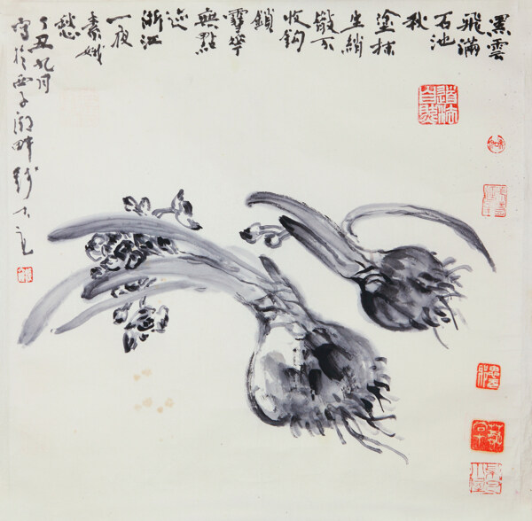 凌波清韻