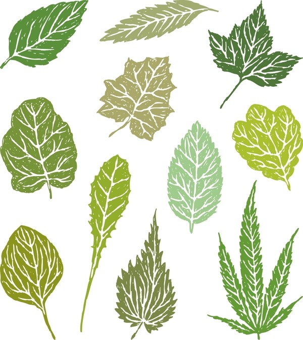 綠色葉子植物插畫