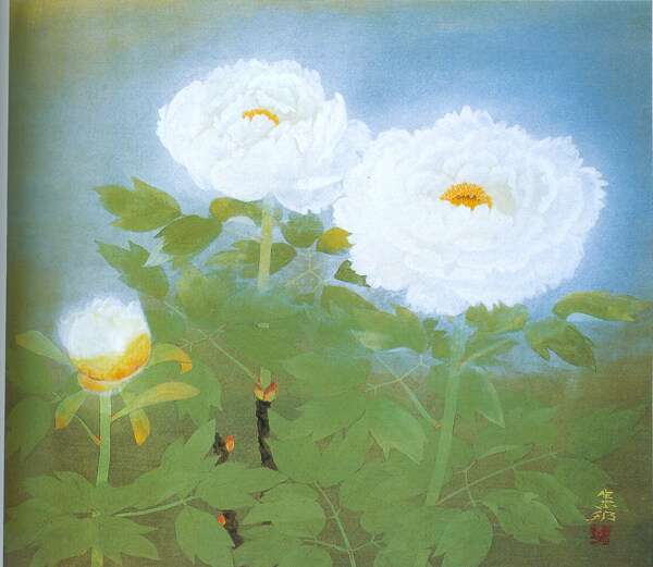 富貴花圖片